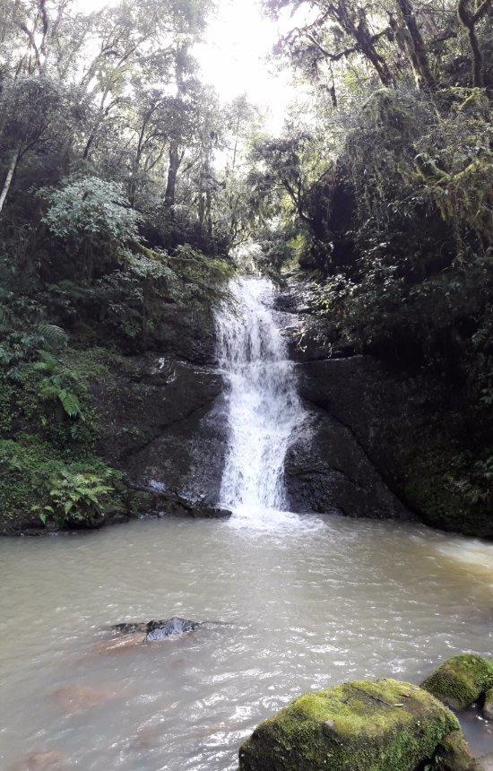 Hotel Fazenda E Pousada Rancho Da Guaiaca Palmeira  Luaran gambar